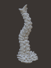 Load image into Gallery viewer, Urchin Tentacle 3D Model
